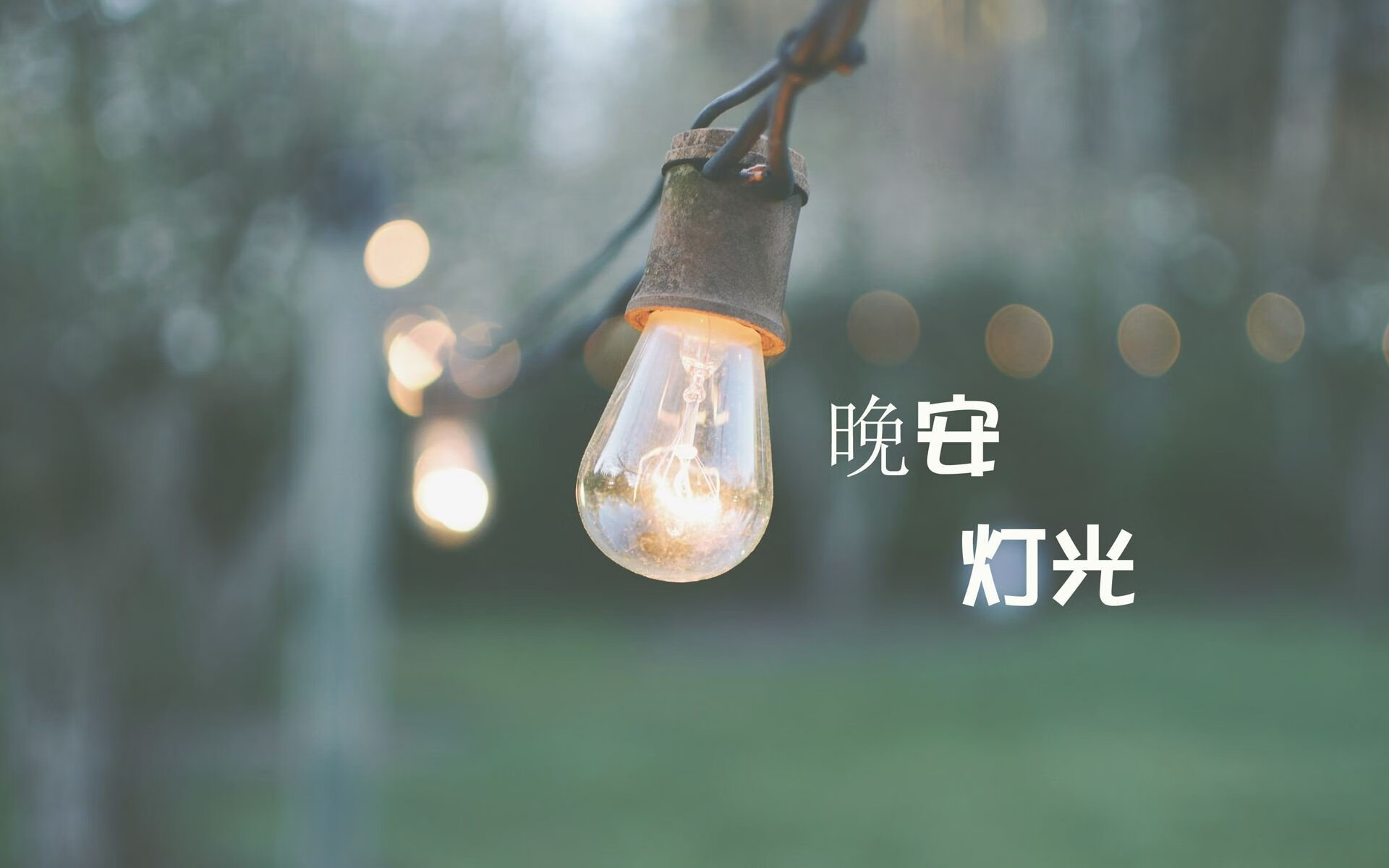_悉尼本土公开赛：新一期全国冠军花落谁家？_，悉尼国际赛