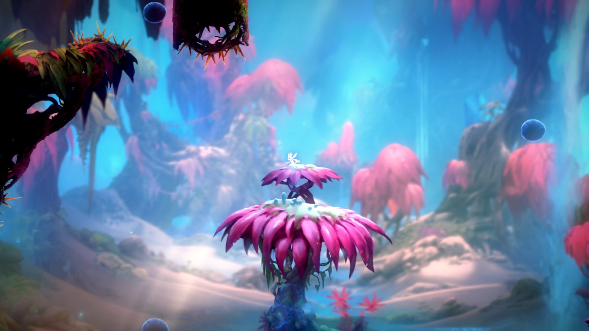 开云备用-上海、山东、海南等地推动中小学生游泳教育普及工作，提升青少年体育素养