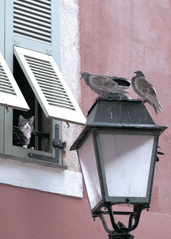 kaiyun体育app-台球界的创新玩法：混合赛制新模式试点成功，打台球混进去怎么算